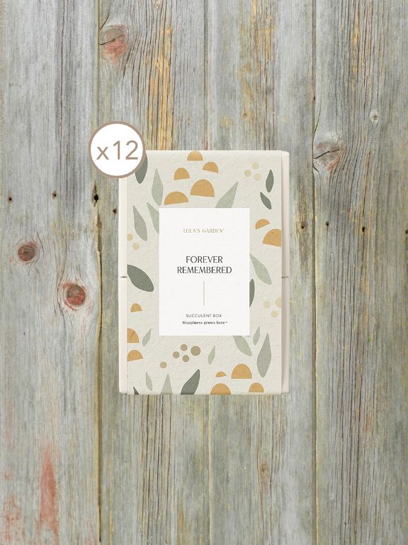LULAS GARDEN SLEEVE - FOREVER REMEMBERED